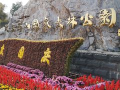 -北京西山国家森林公园