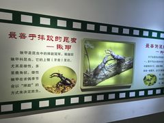 -上海昆虫博物馆