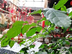 -文儒九号·闽菜馆(三坊七巷店)