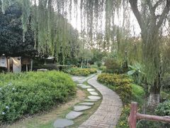 -马帮寨院坝火锅(龙港公园店)