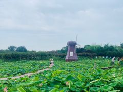 -武汉紫薇都市田园