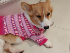 -怪兽屋·羊驼·猫咖·狗咖(俊华广场店)