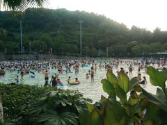 -重庆海昌加勒比海水世界
