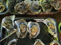 -八一湛江生蚝(文明东路总店)