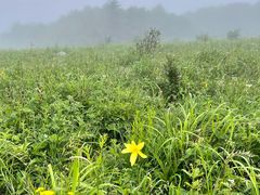 -白草畔自然风景区