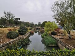 -羊山湖公园