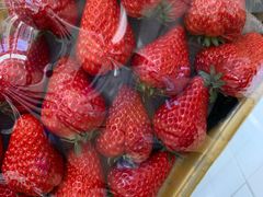 -果蔬好生活超市(乐堤港店)