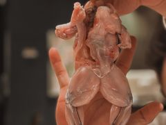 -上海兴国宾馆香樟园西餐厅
