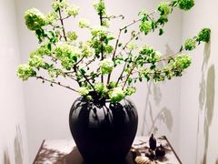 -子福慧(虹桥店)