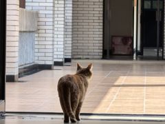 -四川大学(望江校区)