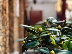 -思南书局(复兴中路店)