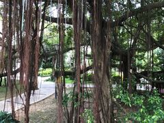 -颐和澜悦欢乐水世界(原颐和温泉城)