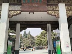 -团结湖公园