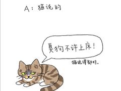 -瑞鹏宠物医院·眼科·皮肤·中兽医(大悦城分院)