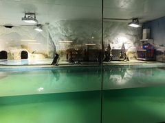 -北戴河圣蓝海洋公园