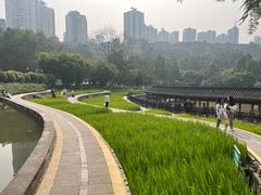 -龙头寺公园