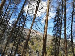 -硗碛藏寨·神木垒景区