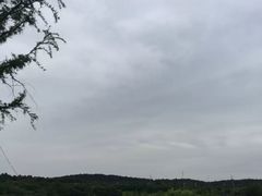 -大塘金香草谷