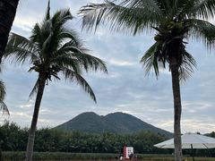 -亚龙湾国际玫瑰谷