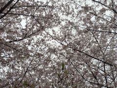 -堤角公园