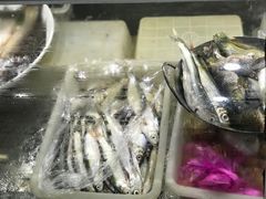 -全乐鱼馆·淳牌有机鱼直营店