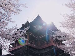 -西安青龙寺遗址景区