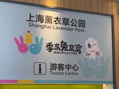 -季高兔窝窝亲子园(上海薰衣草公园店)