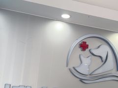 -博特宠物医院24h犬猫全科.骨科·异宠
