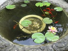 -亦缘居私家别院