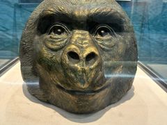 -国家自然博物馆