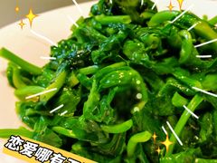清炒豆苗-太湖饭店·寄畅轩中餐厅