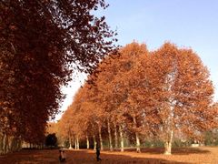 iphone_upload_pic-河南省黄河迎宾馆