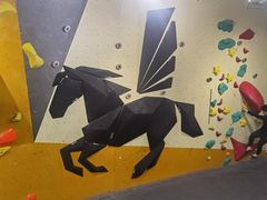 -香蕉攀岩(上地店)