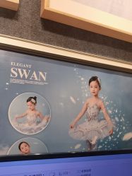 -倾城宝贝儿童摄影(浦东金谊店)