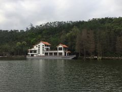 -梧桐山风景名胜区