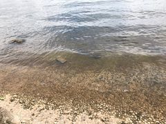 -南诏风情岛