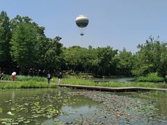 -西溪国家湿地公园