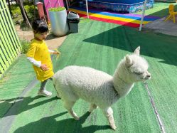 -萌宠亲子动物乐园(槐房万达店)