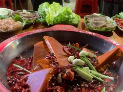 -张嬢嬢老火锅(壹号店•六年店)