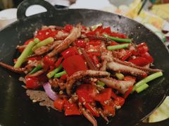 爆炒鱿鱼-茉莉餐厅(包河万达店)