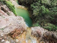 -南海湾森林生态园