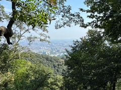 -灵顺寺