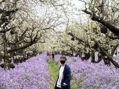 -江苏三台山国家森林公园