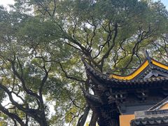 -虞山风景区