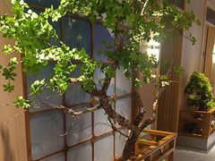 -宋徽厨·安徽菜(怀宁步行街店)