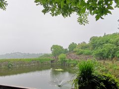 -许家山