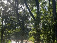 -幕燕滨江·长江观音景区