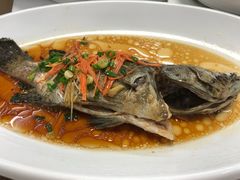 清蒸石斑鱼-长城海鲜餐厅
