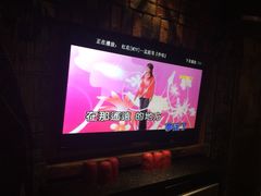 孟庭苇-红花-环球梦主题KTV(曲阳生活购物中心店)
