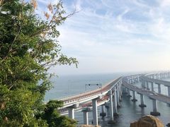-星海湾跨海大桥